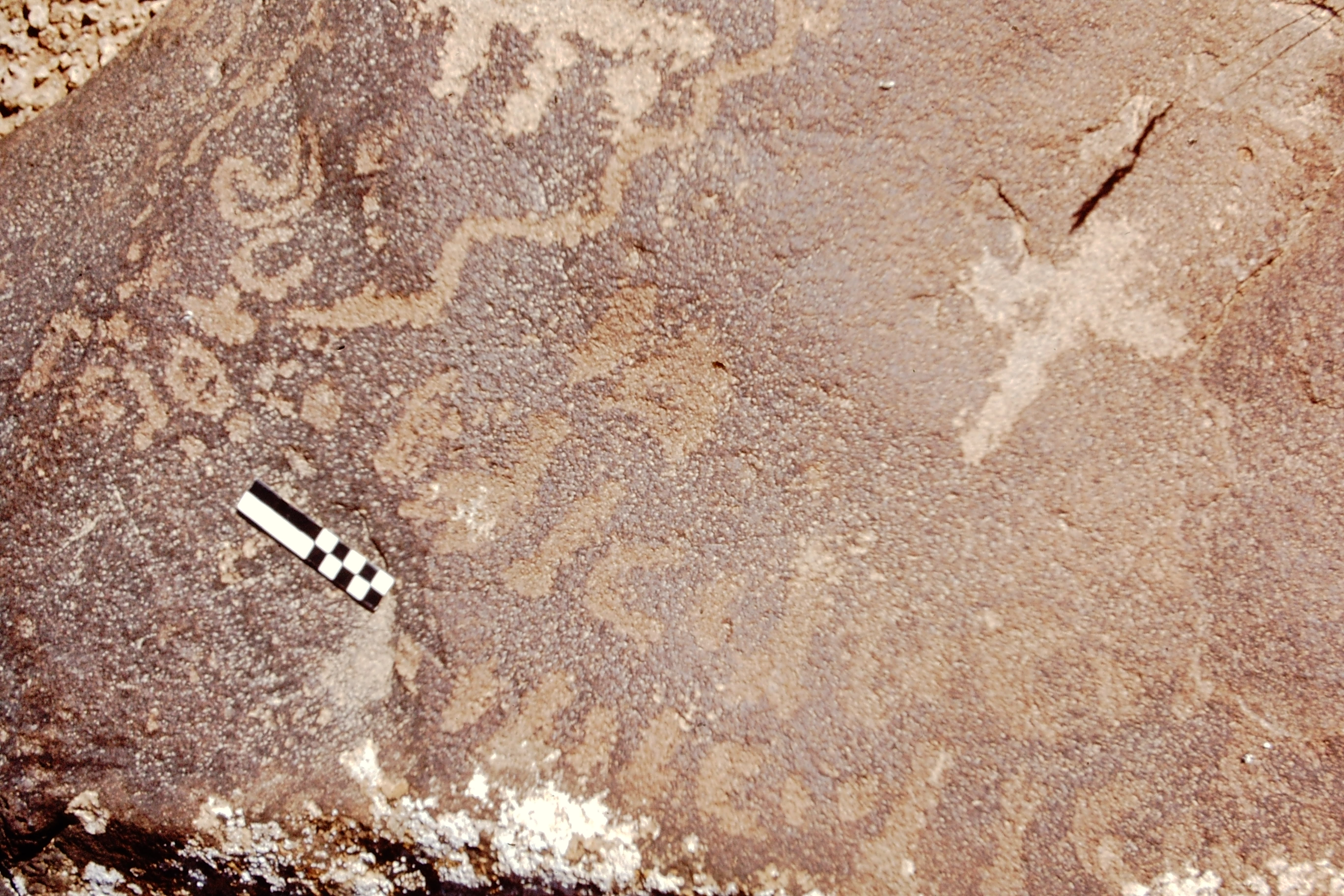 inscription of siglum CEDS 568