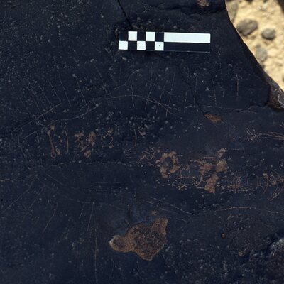 inscription of siglum CEDS 57