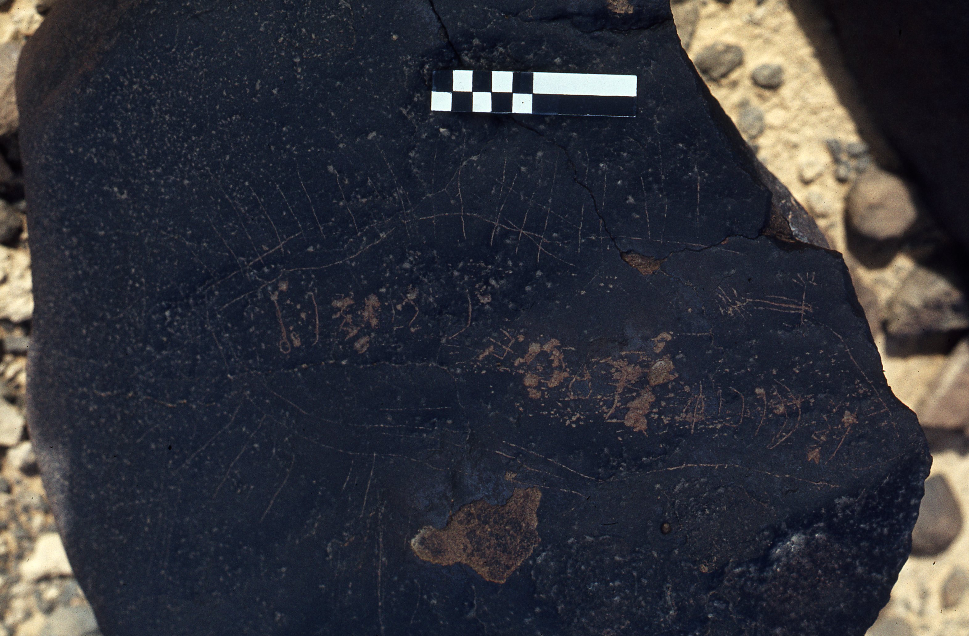 inscription of siglum CEDS 57