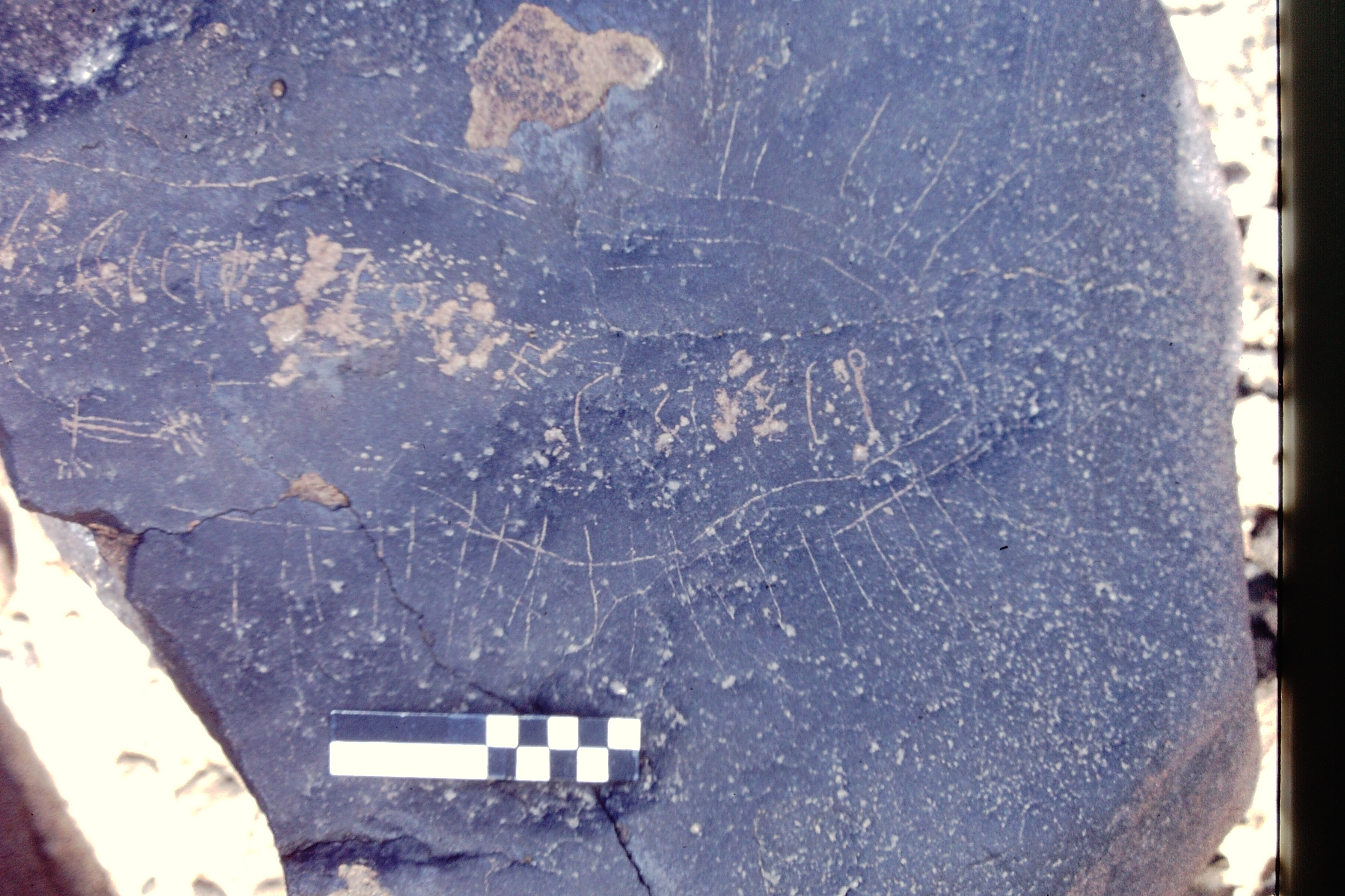 inscription of siglum CEDS 57