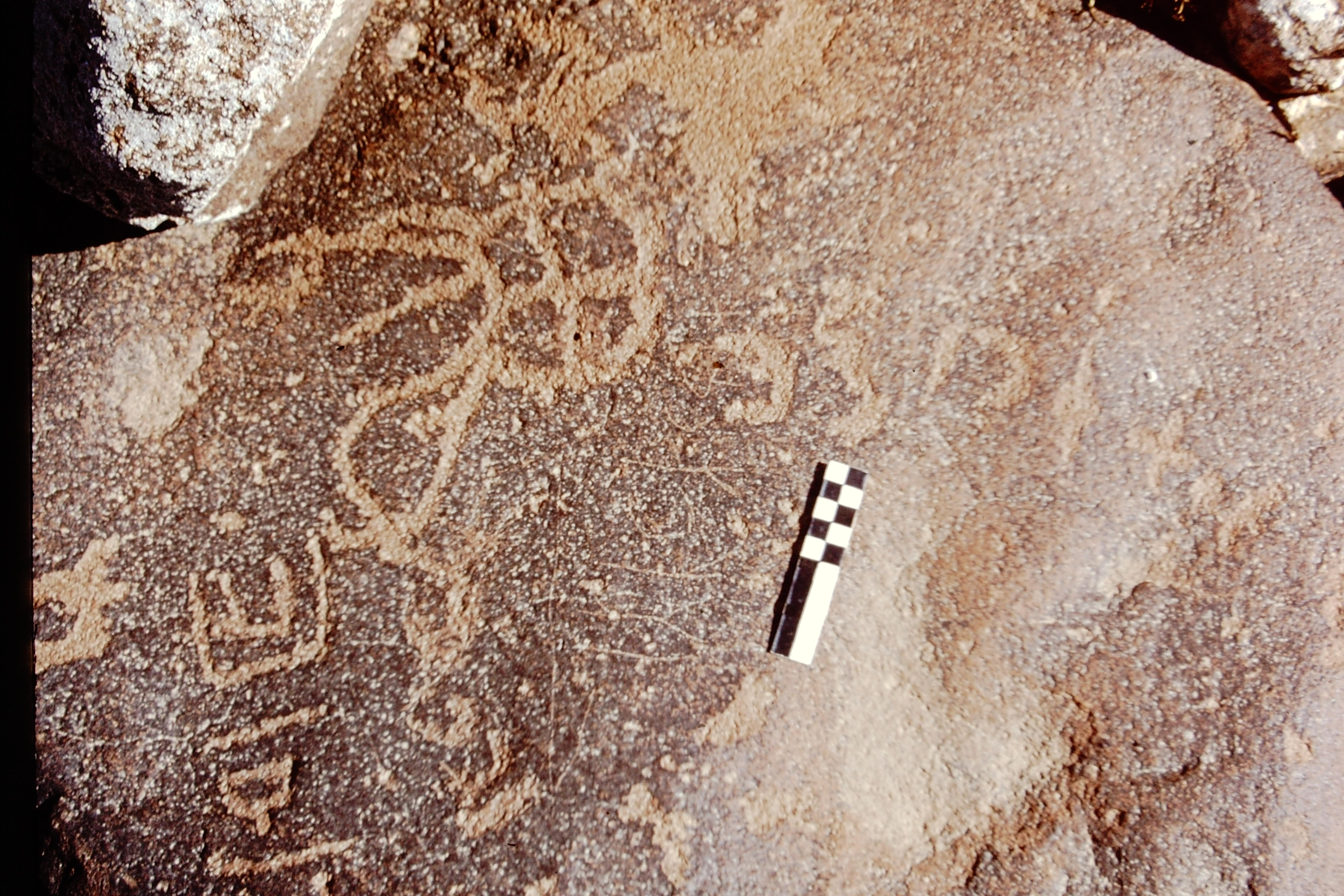 inscription of siglum CEDS 577