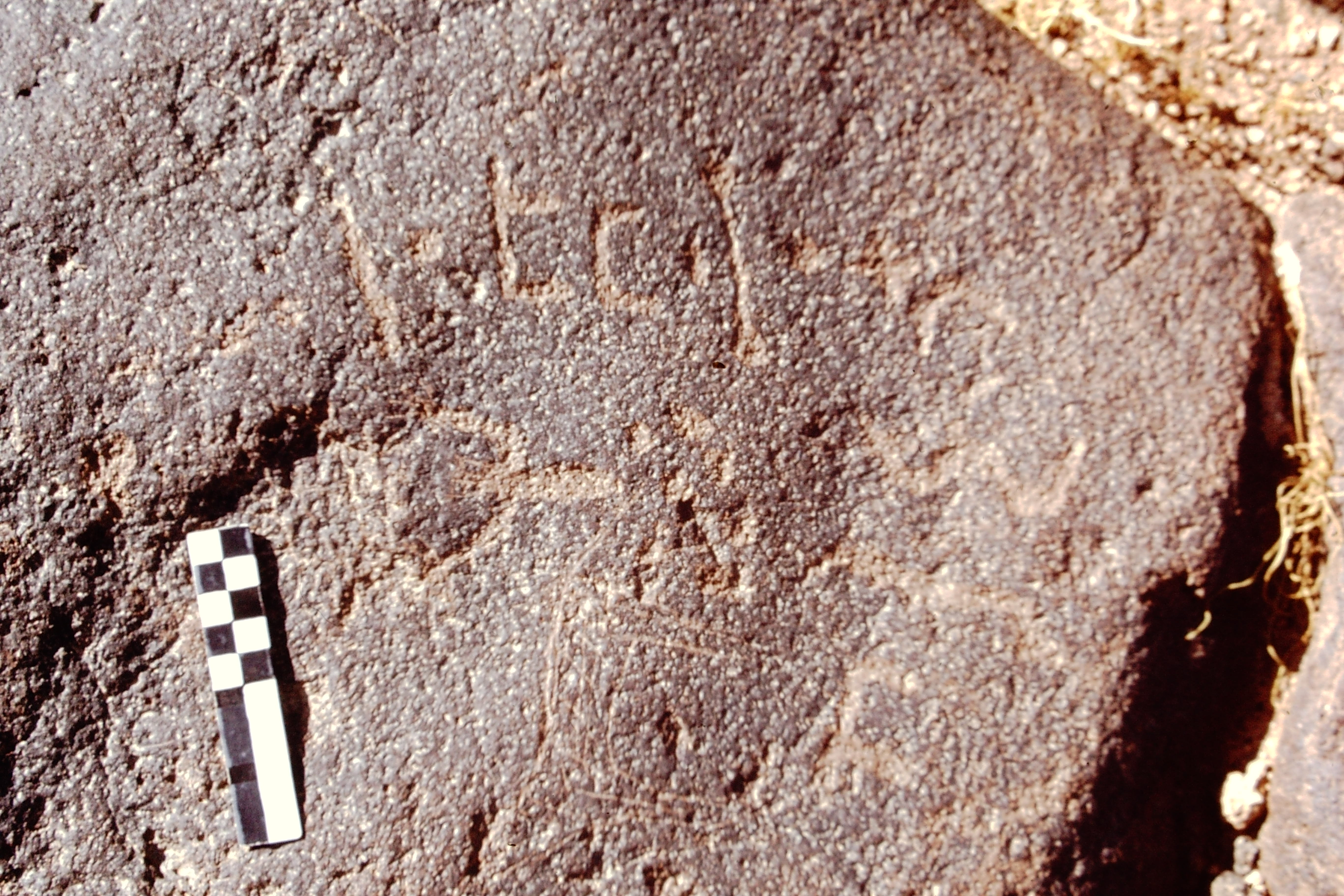 inscription of siglum CEDS 588
