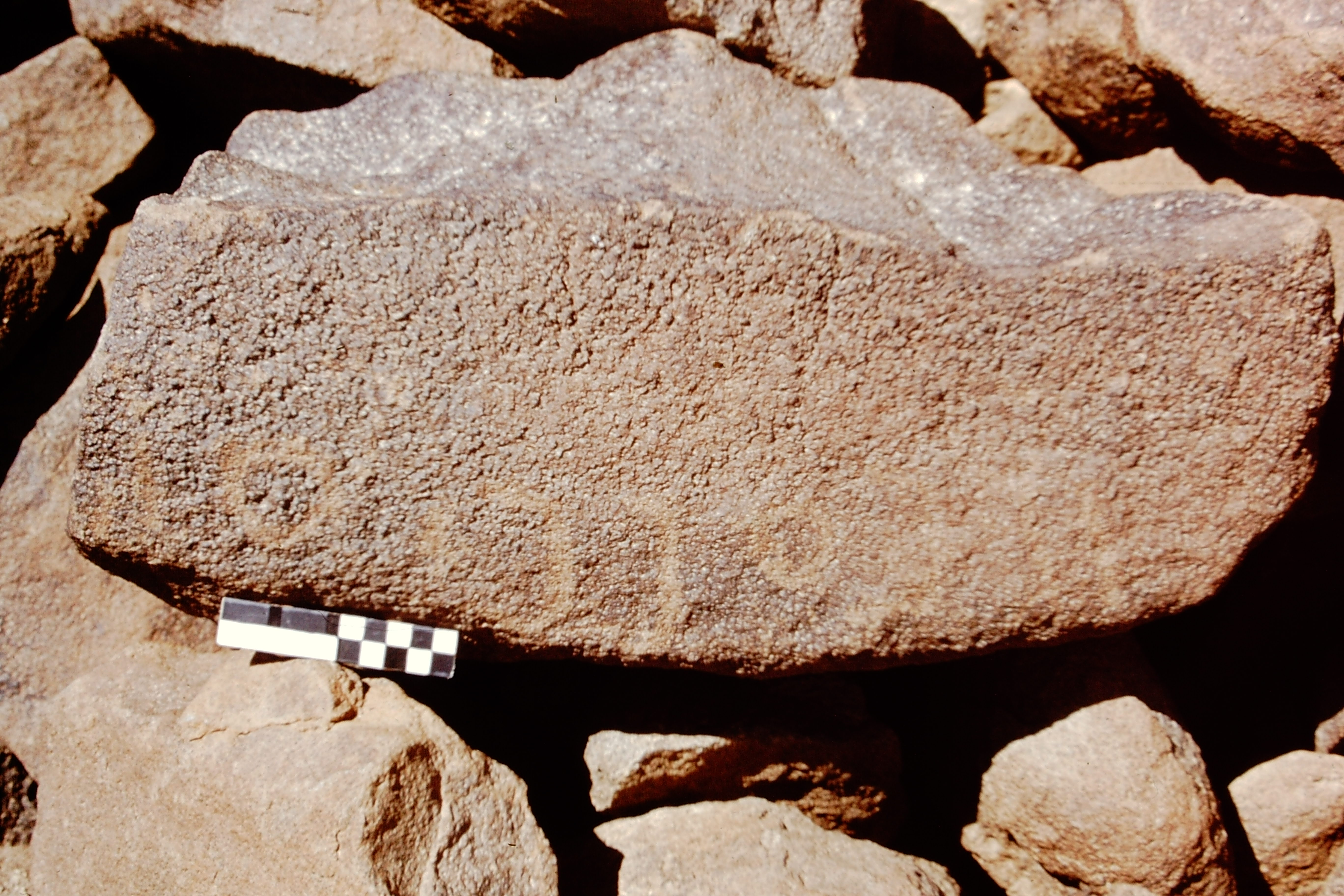 inscription of siglum CEDS 589