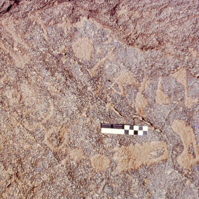 inscription of siglum CEDS 591
