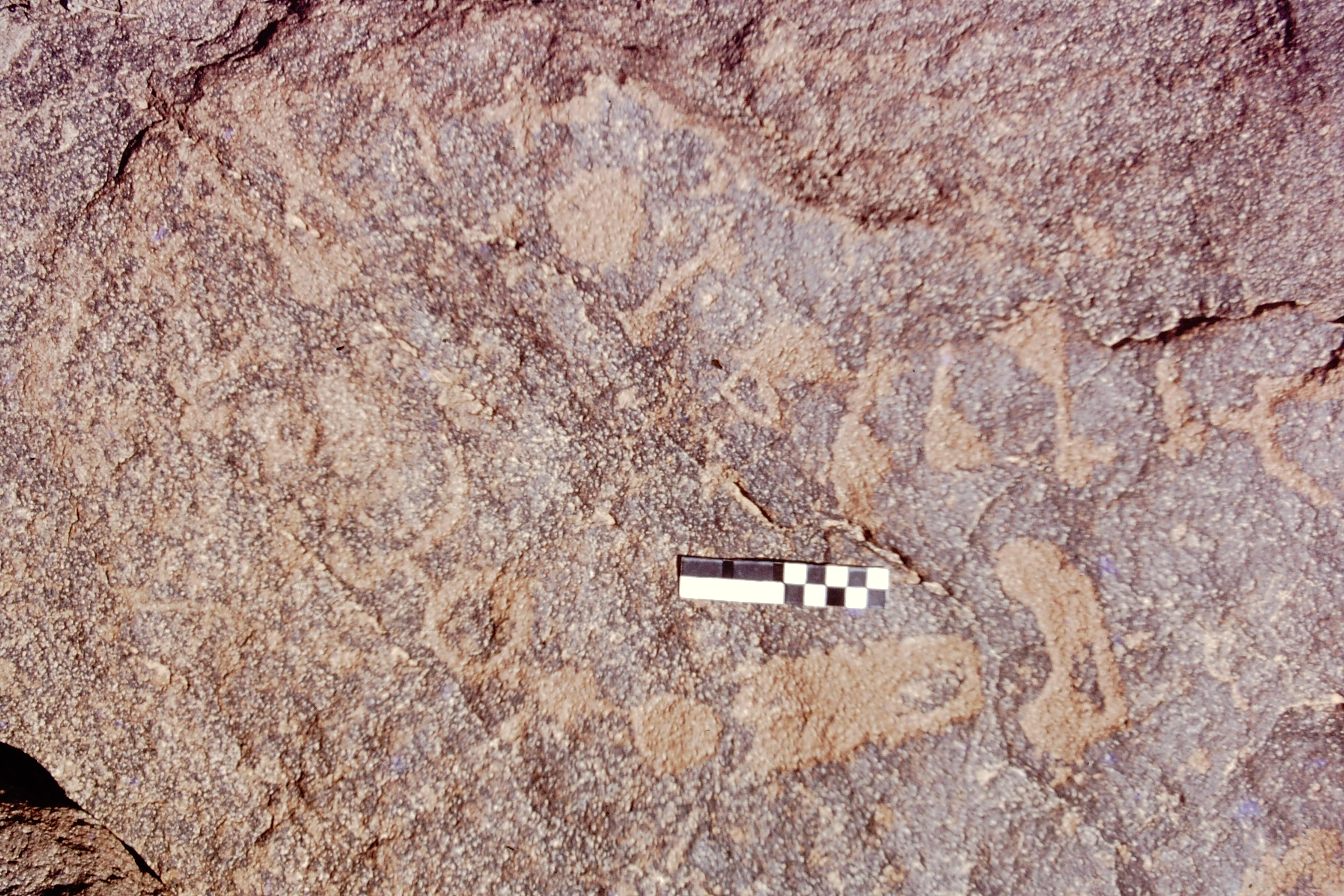 inscription of siglum CEDS 591