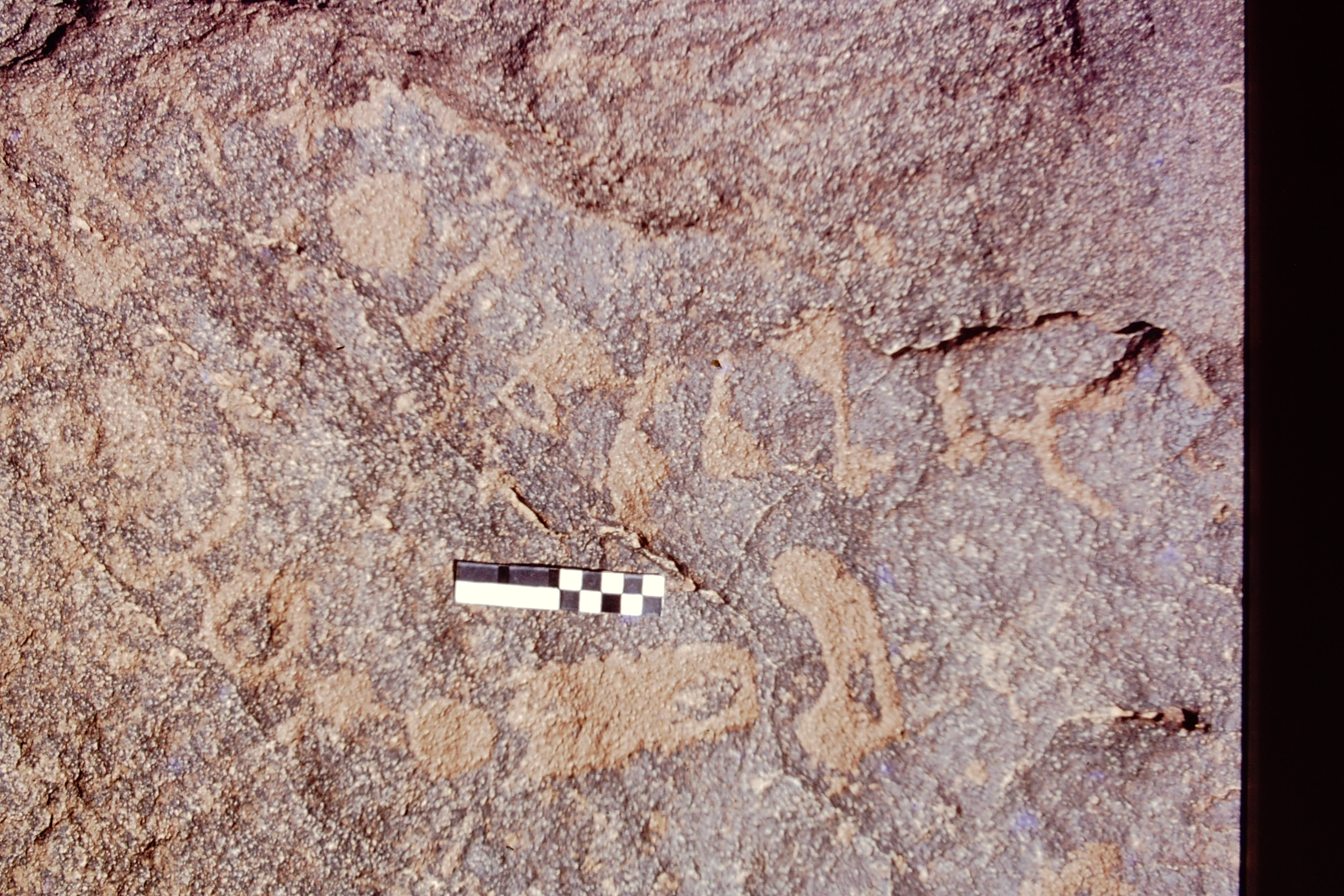 inscription of siglum CEDS 591