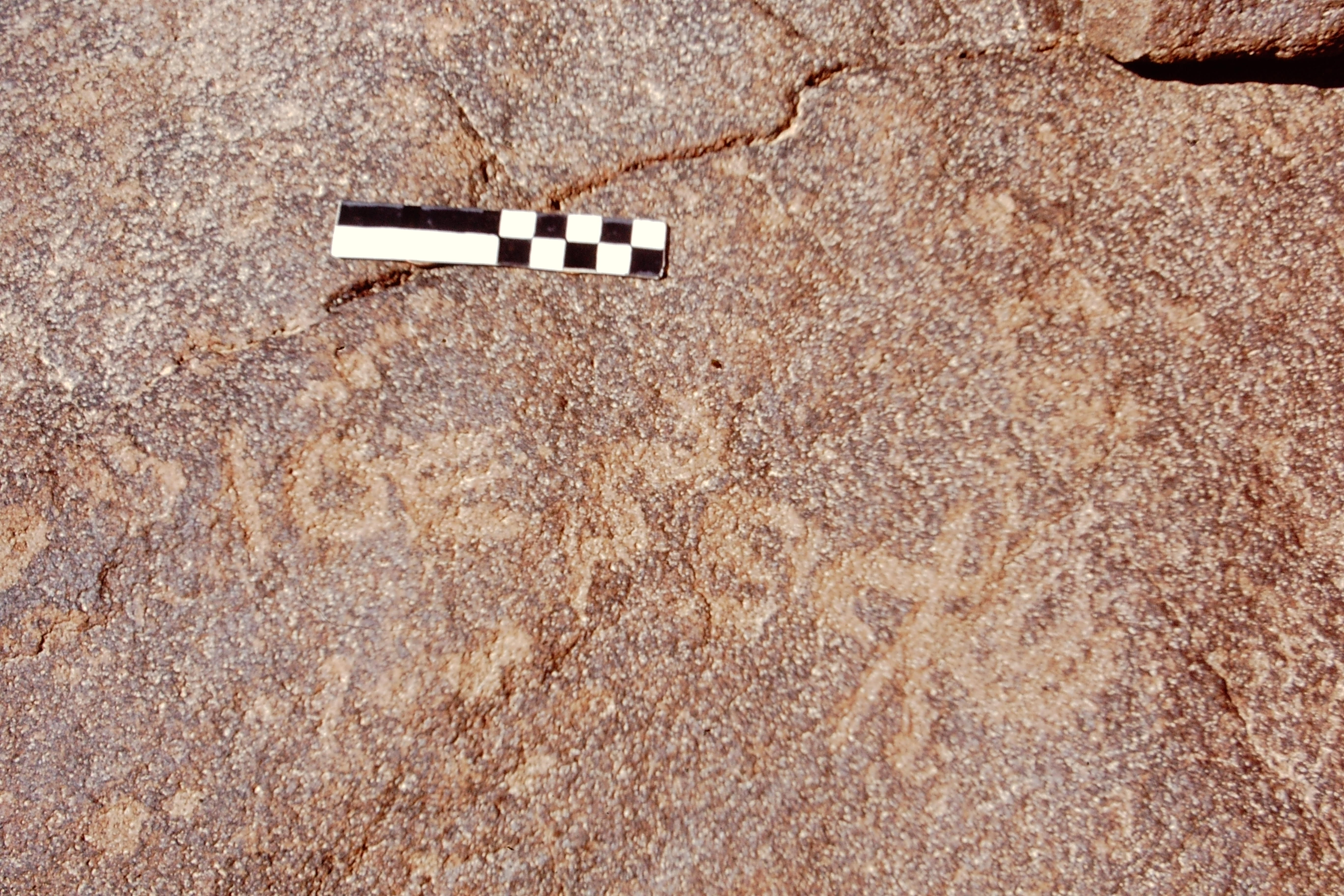 inscription of siglum CEDS 593