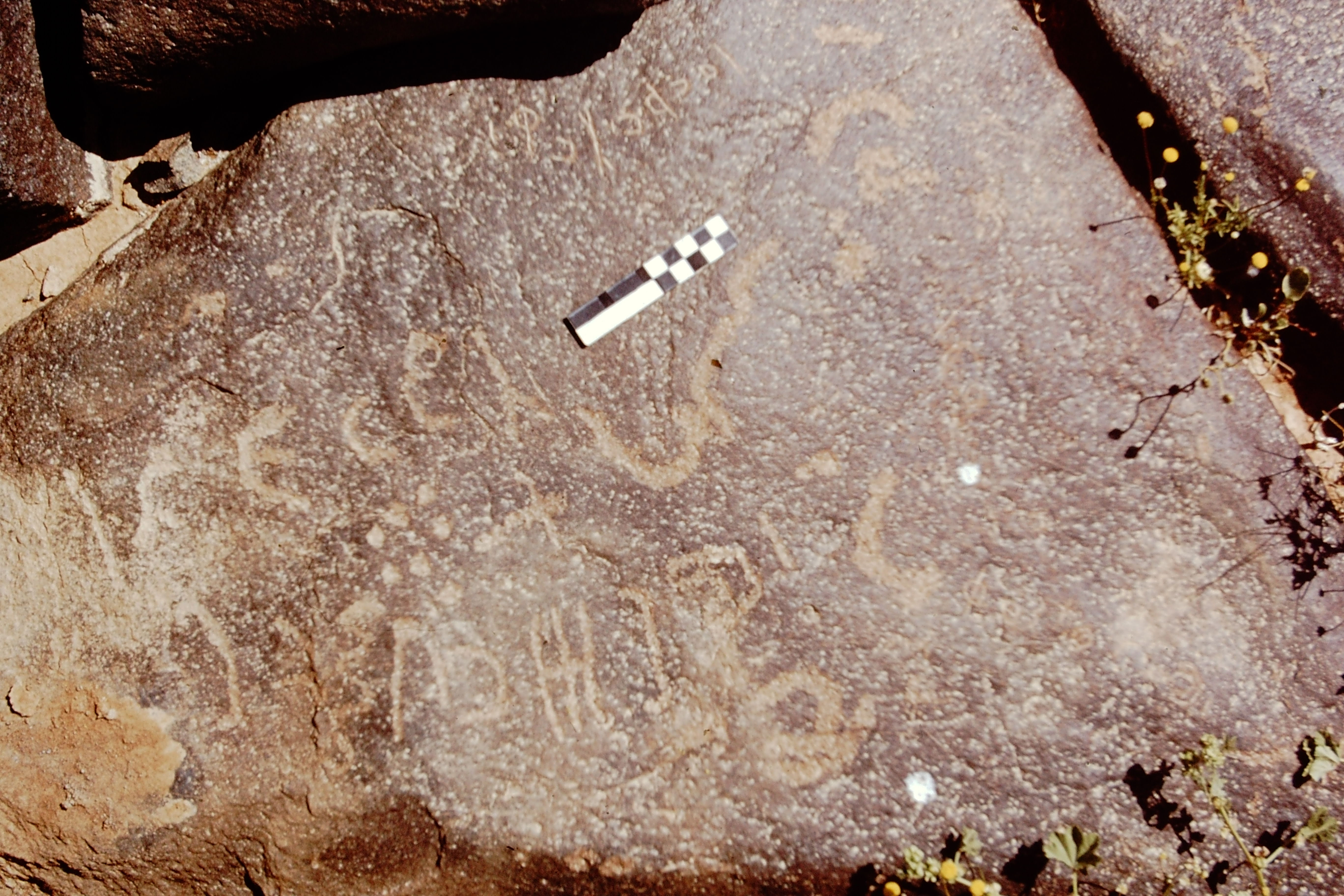 inscription of siglum CEDS 595