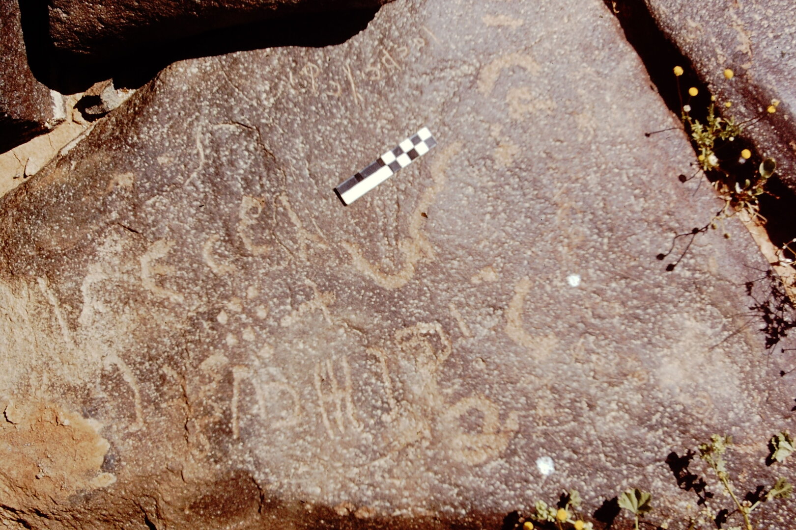 inscription of siglum CEDS 597