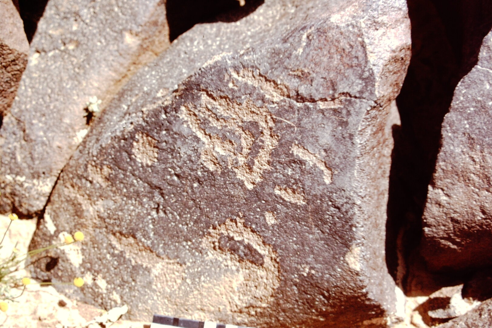 inscription of siglum CEDS 599