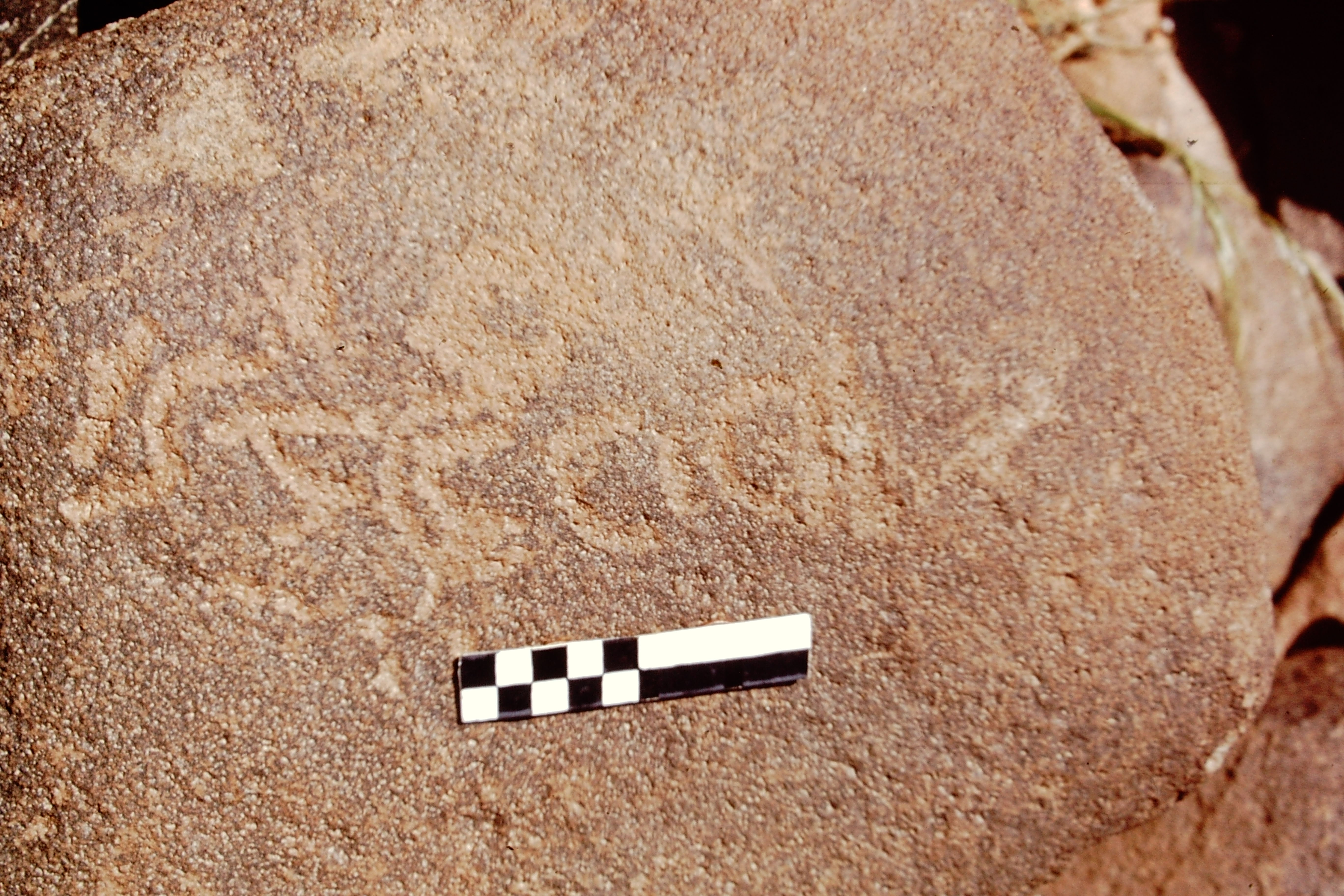 inscription of siglum CEDS 600