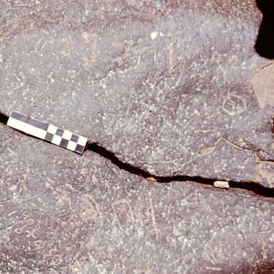 inscription of siglum CEDS 601
