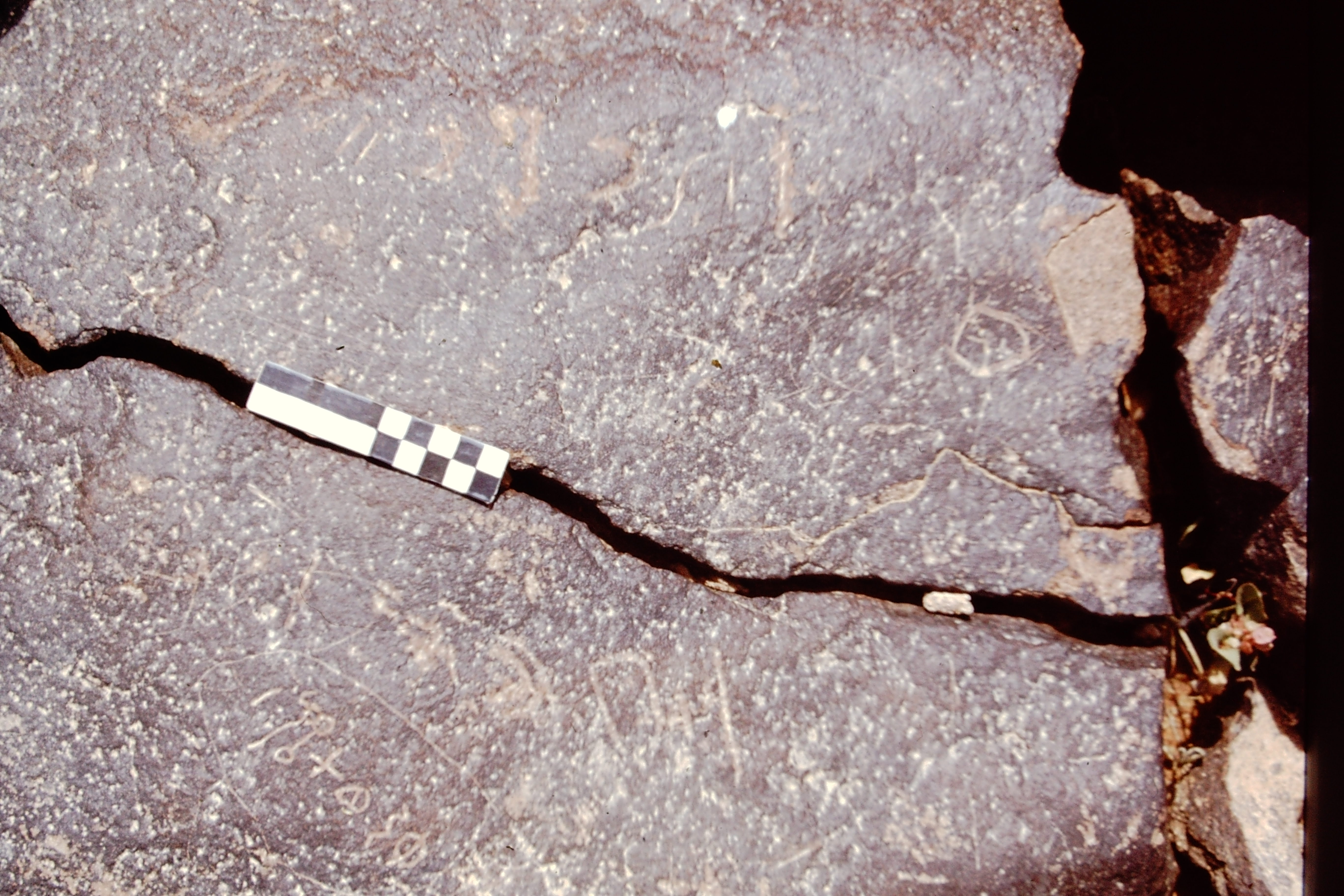 inscription of siglum CEDS 601