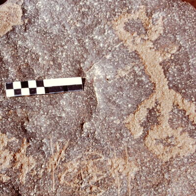 inscription of siglum CEDS 604