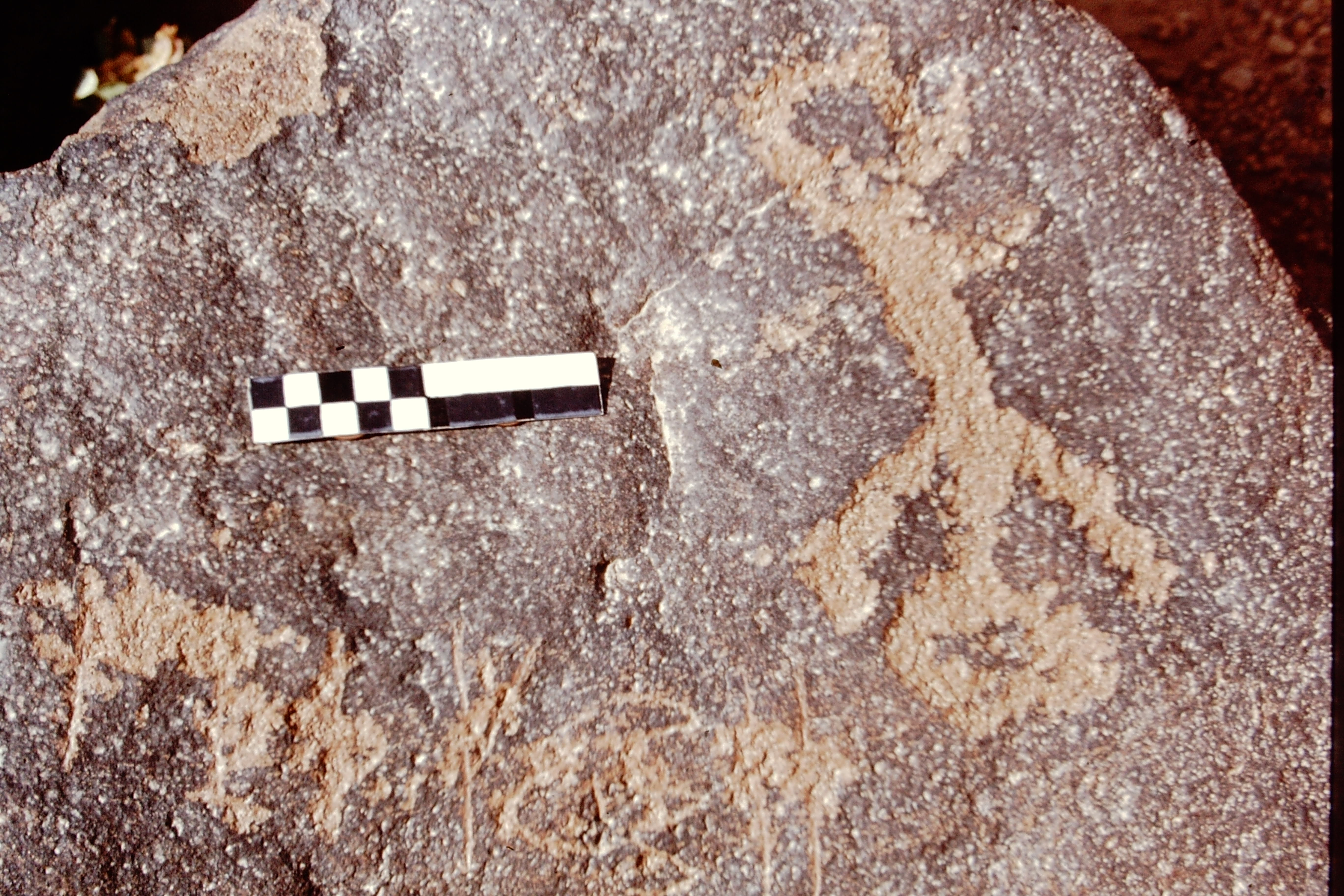 inscription of siglum CEDS 604