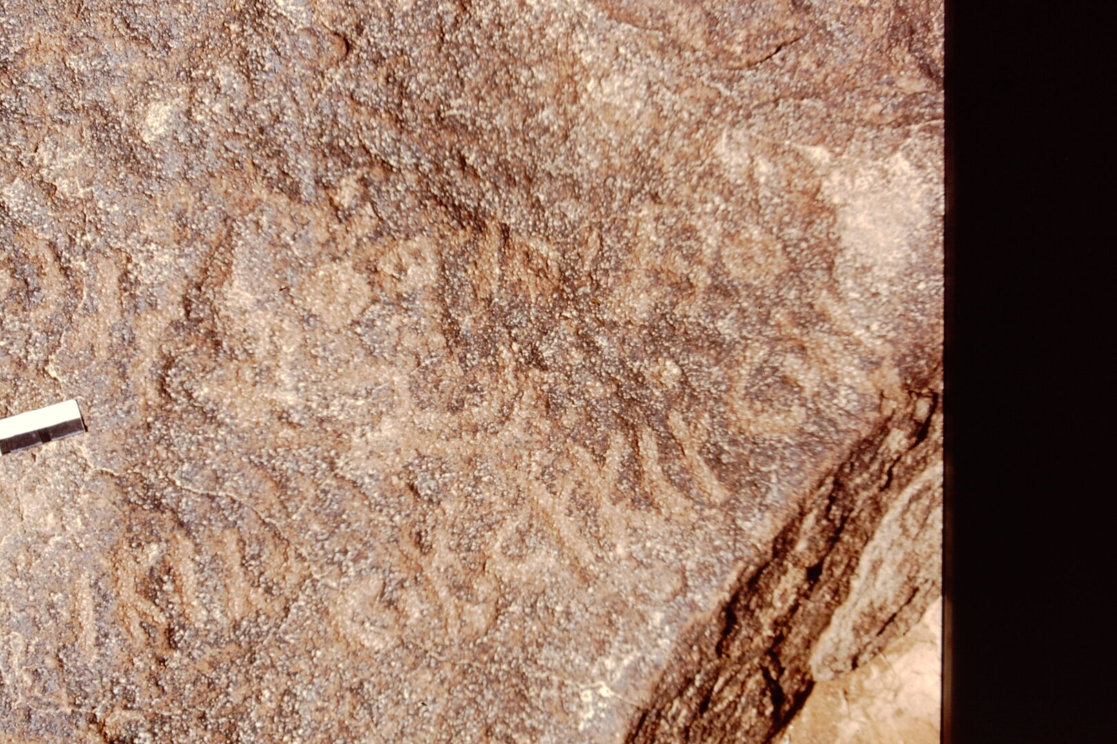 inscription of siglum CEDS 609
