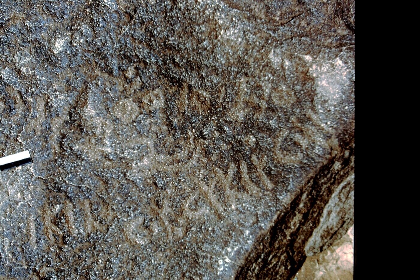 inscription of siglum CEDS 609