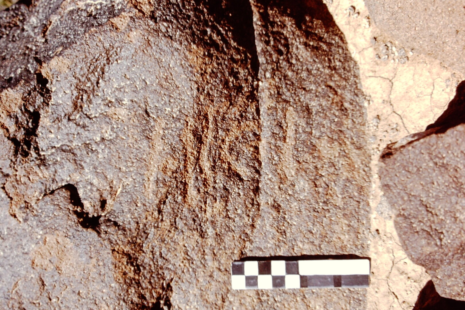 inscription of siglum CEDS 610