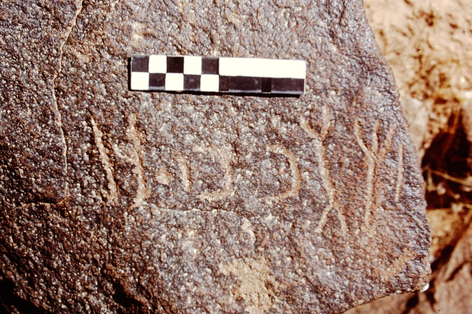 inscription of siglum CEDS 613