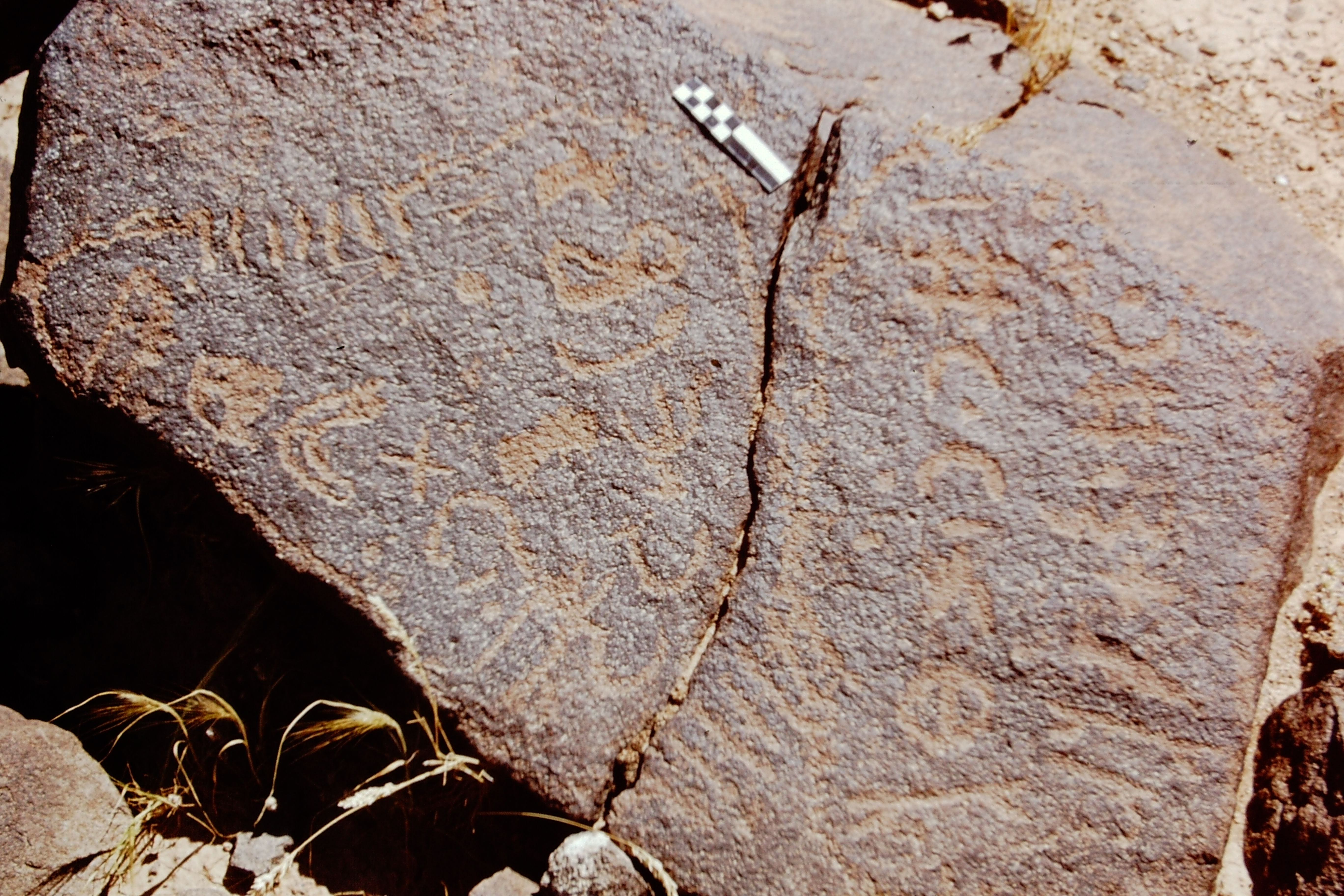 inscription of siglum CEDS 615
