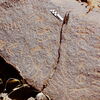 inscription of siglum CEDS 615