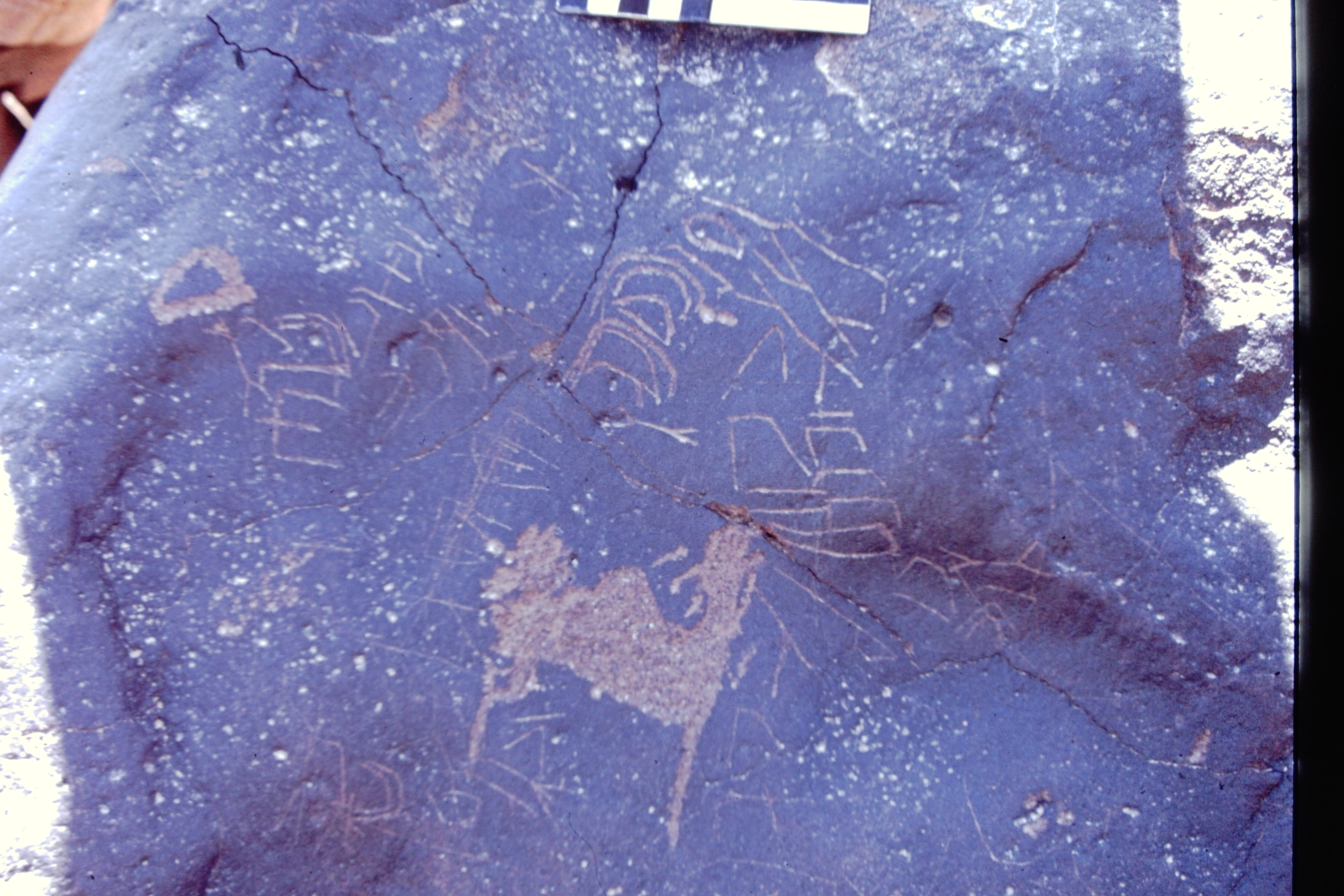 inscription of siglum CEDS 81