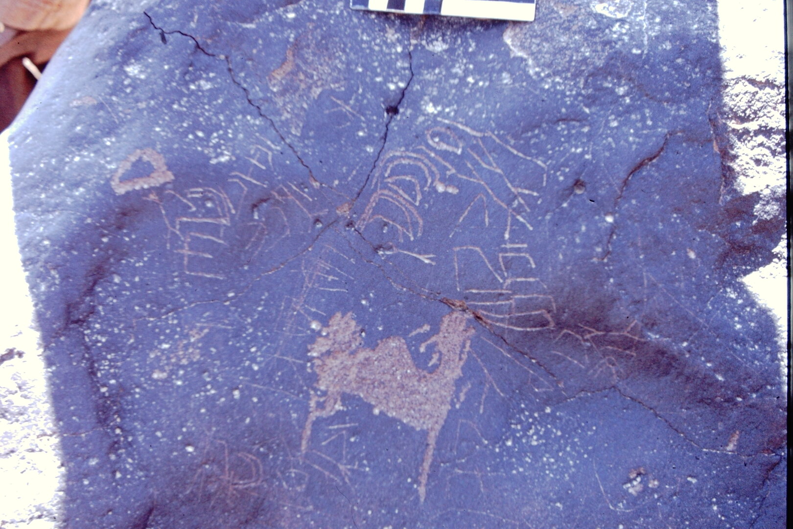 inscription of siglum CEDS 83