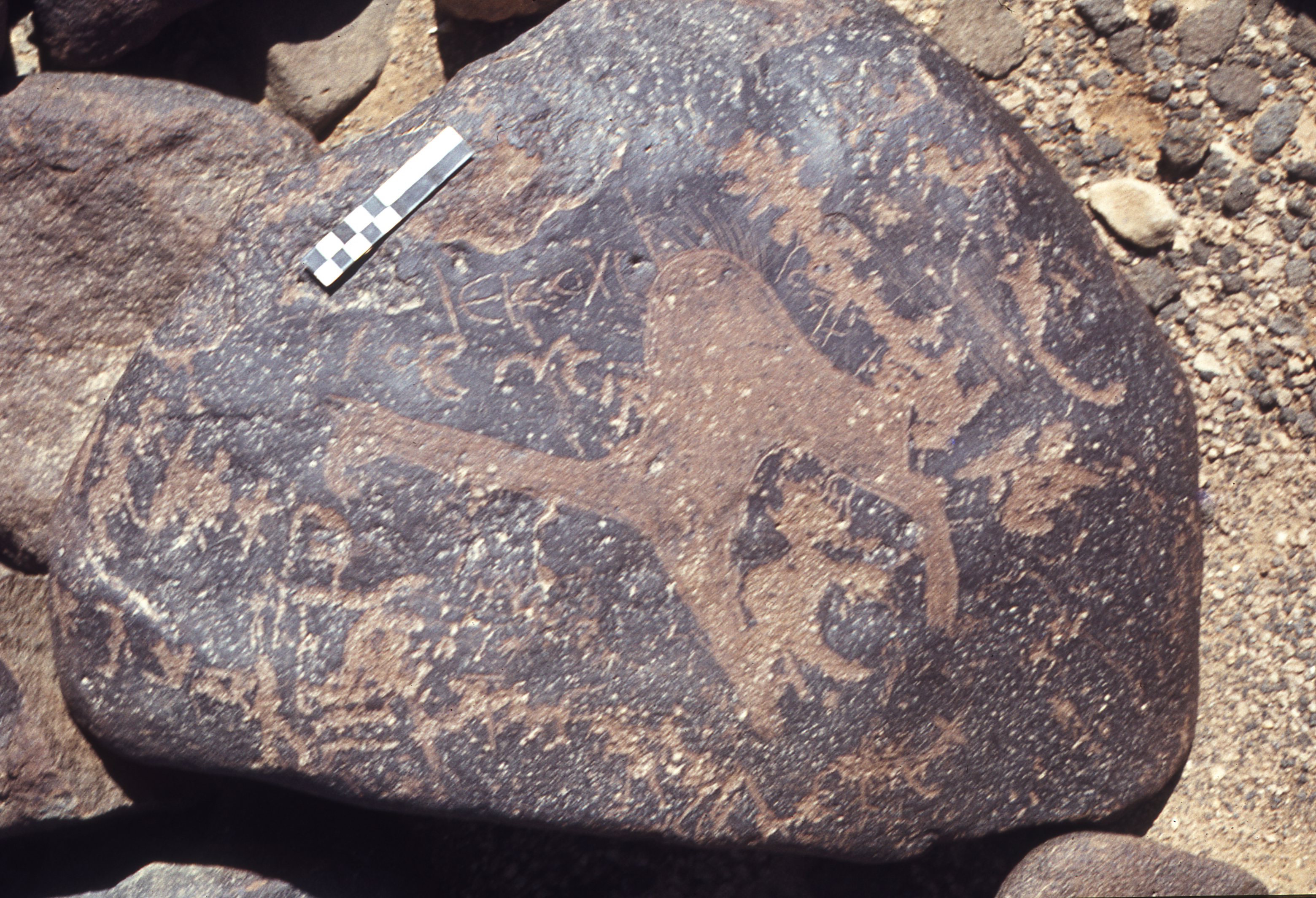 inscription of siglum CEDS 88