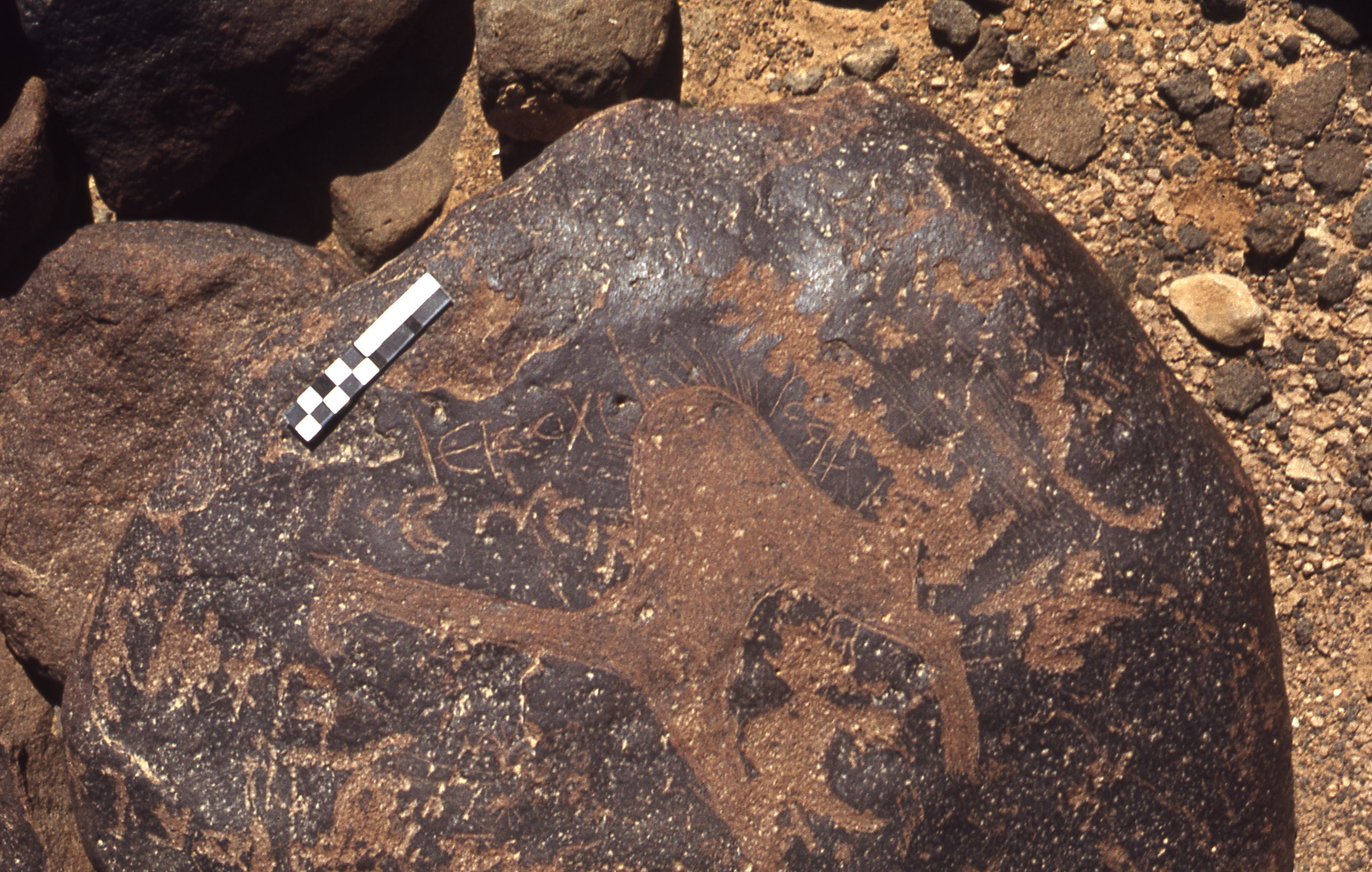 inscription of siglum CEDS 88