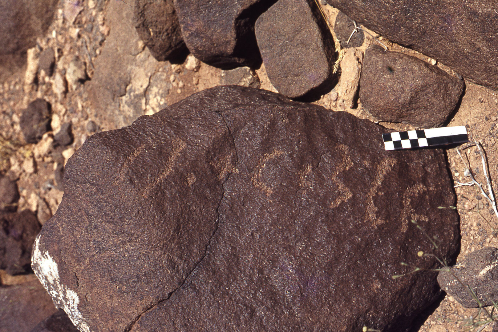 inscription of siglum CEDSQM 1