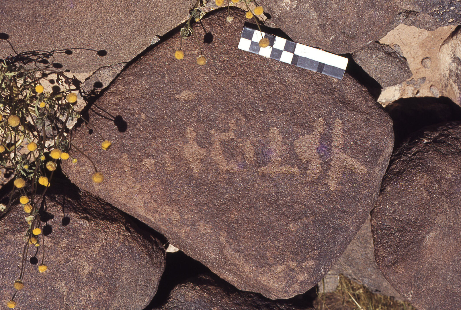 inscription of siglum CEDSQM 14