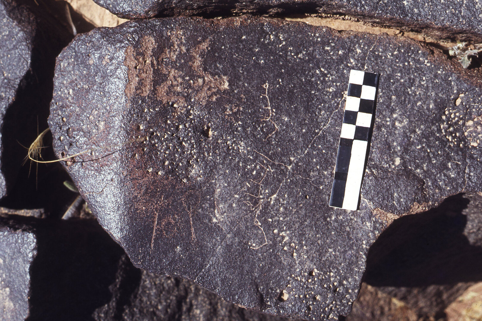 inscription of siglum CEDSQM 15