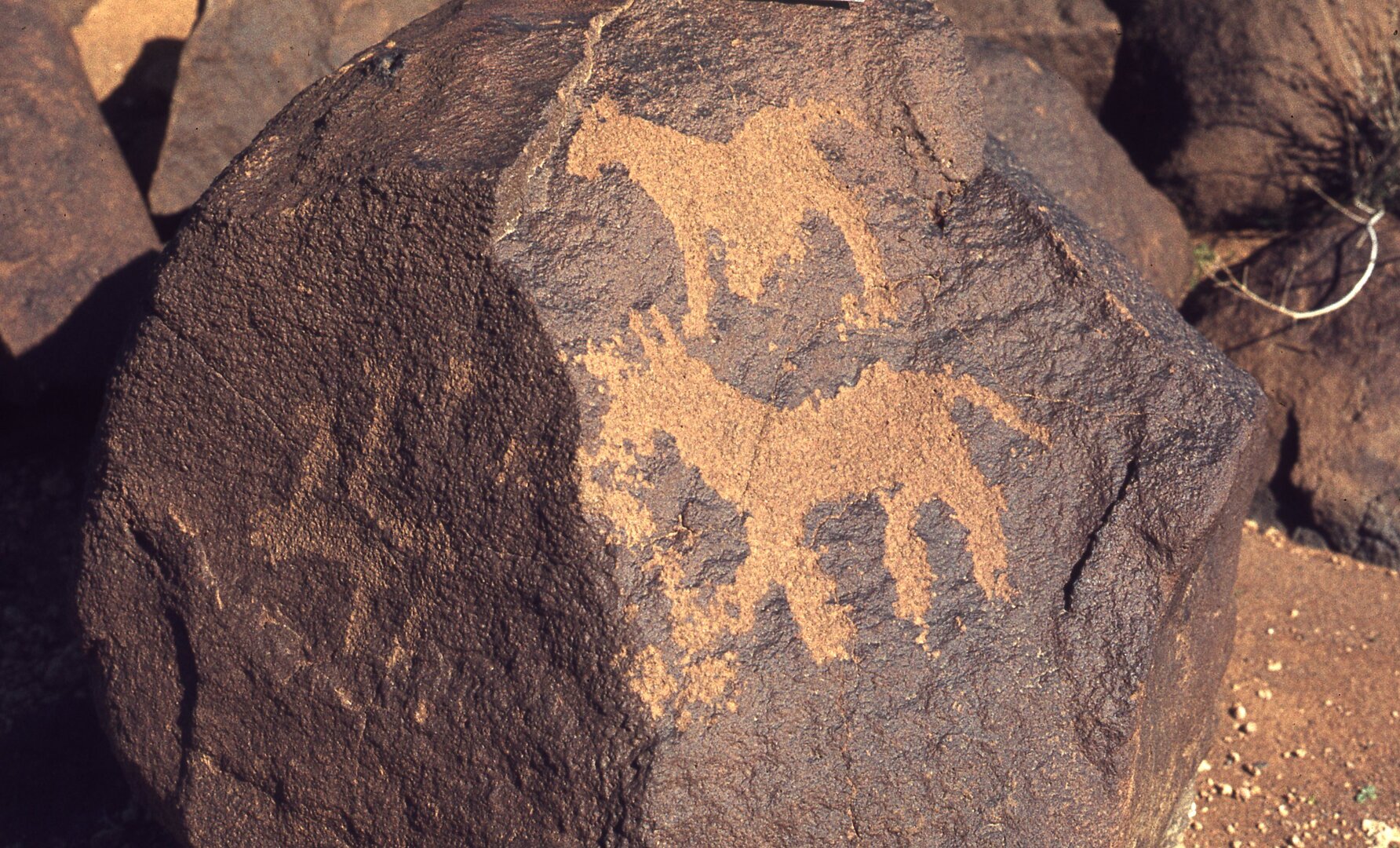 inscription of siglum CEDSQM 8