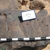inscription of siglum CH.R355.4