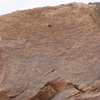inscription of siglum CH.R368.06