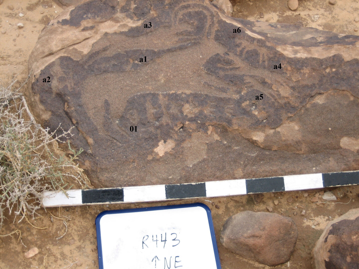 inscription of siglum CH.R443
