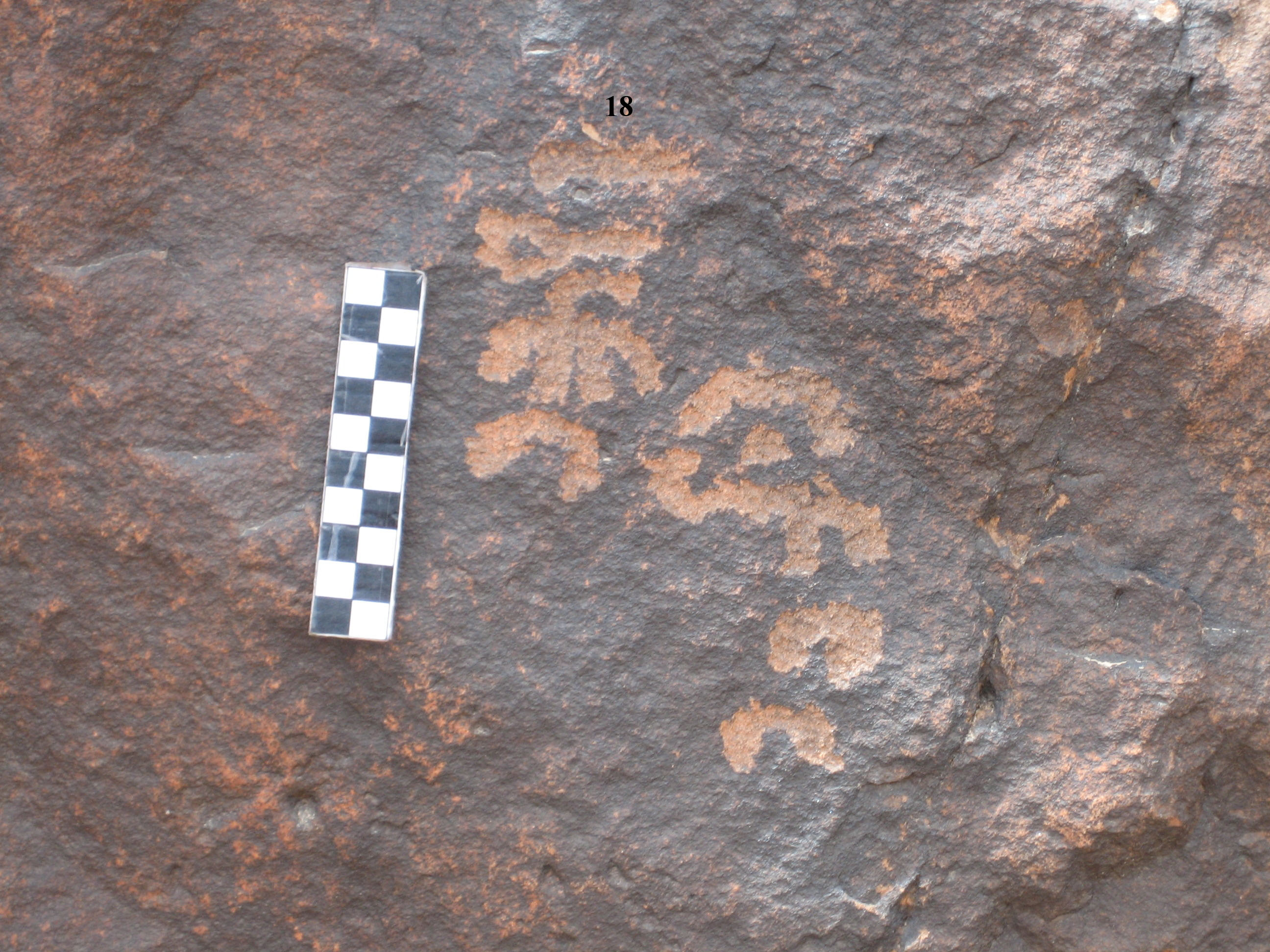inscription of siglum CH.R445.18