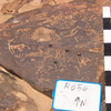 inscription of siglum CH.R654.4