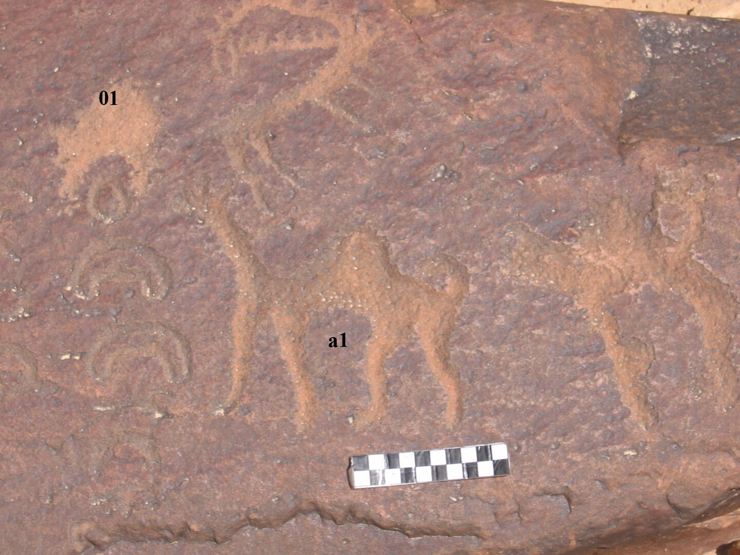 inscription of siglum CH.R704.1