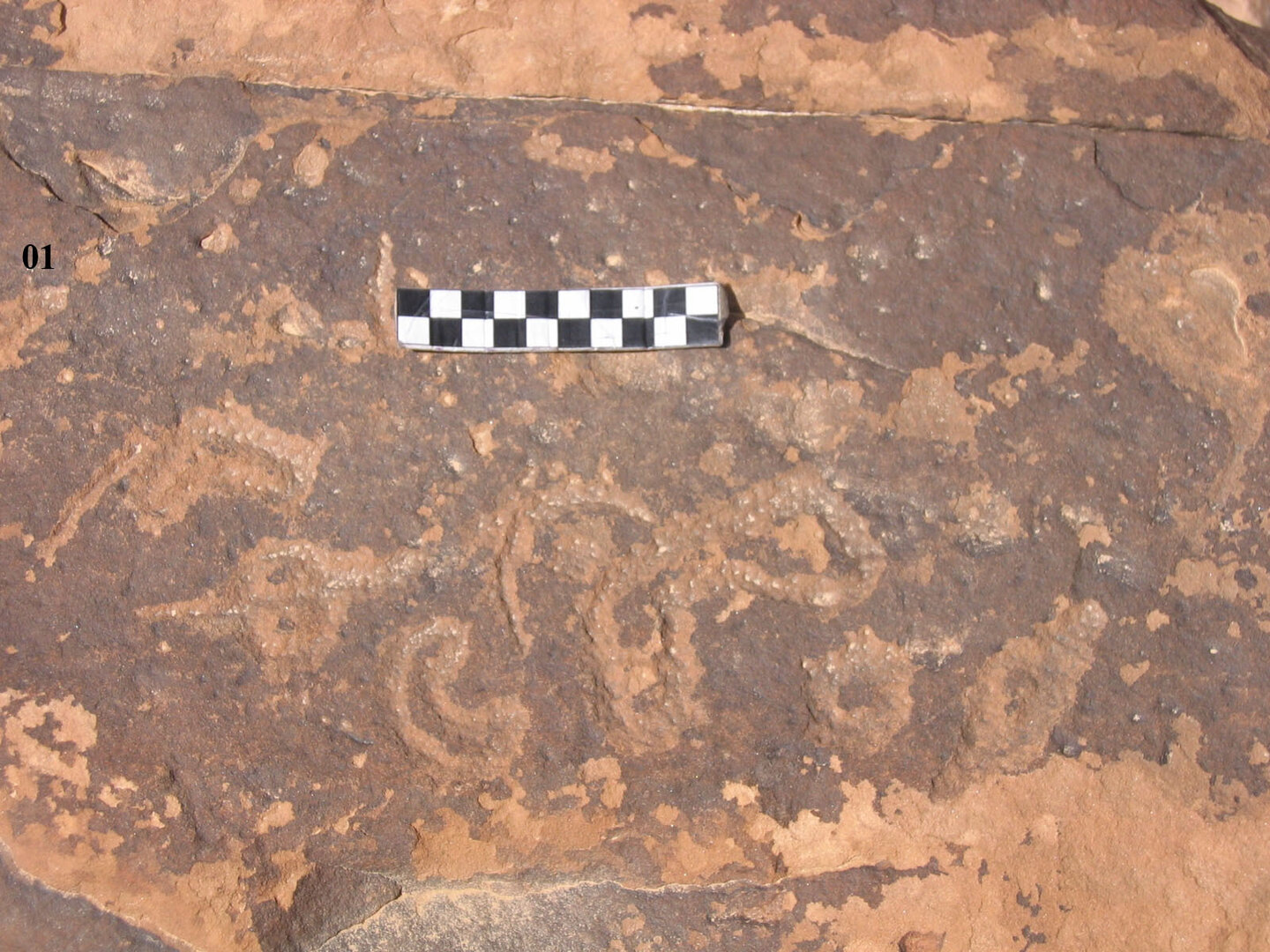 inscription of siglum CH.R720