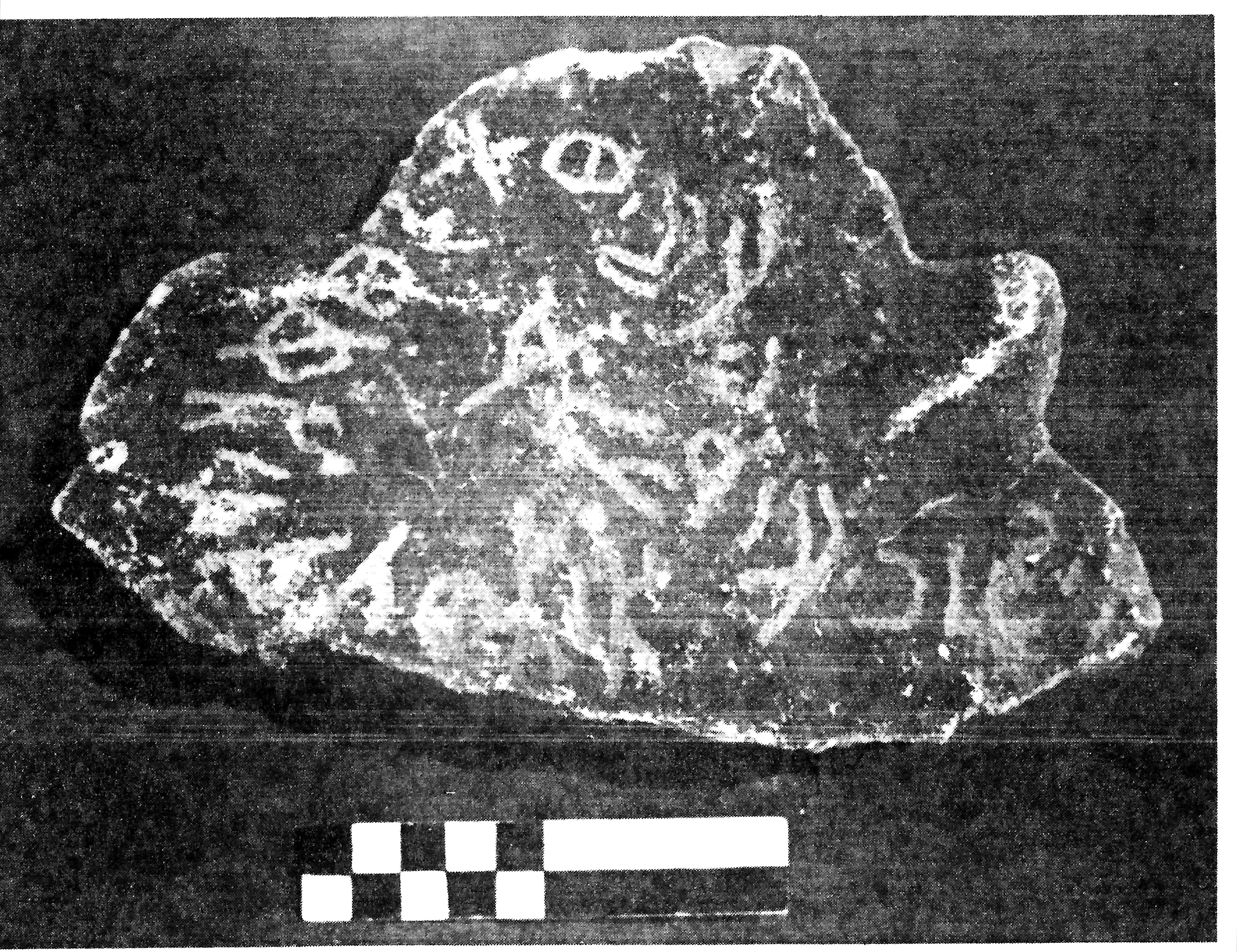 inscription of siglum CSA 1.1