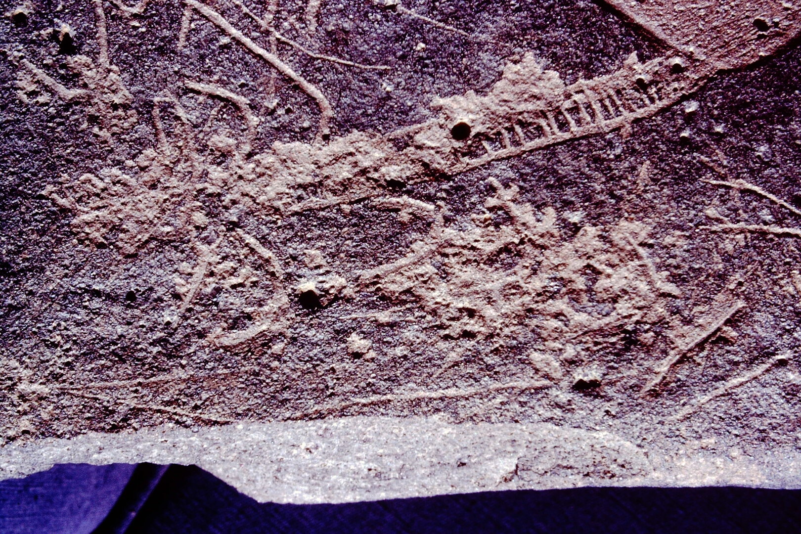 inscription of siglum CSA 2.1