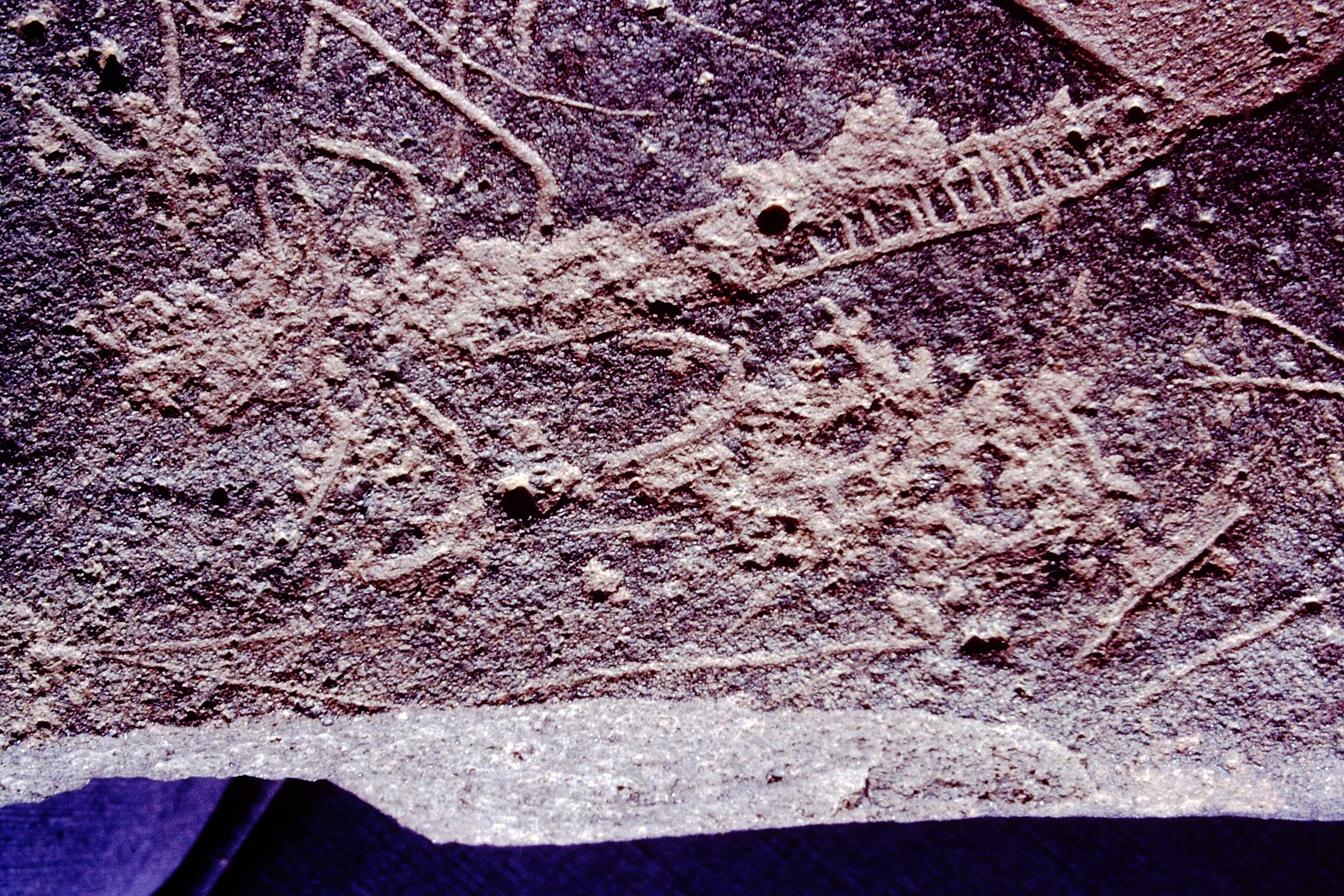 inscription of siglum CSA 2.1