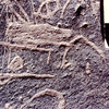 inscription of siglum CSA 2.1