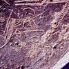 inscription of siglum CSA 2.1