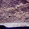inscription of siglum CSA 2.1