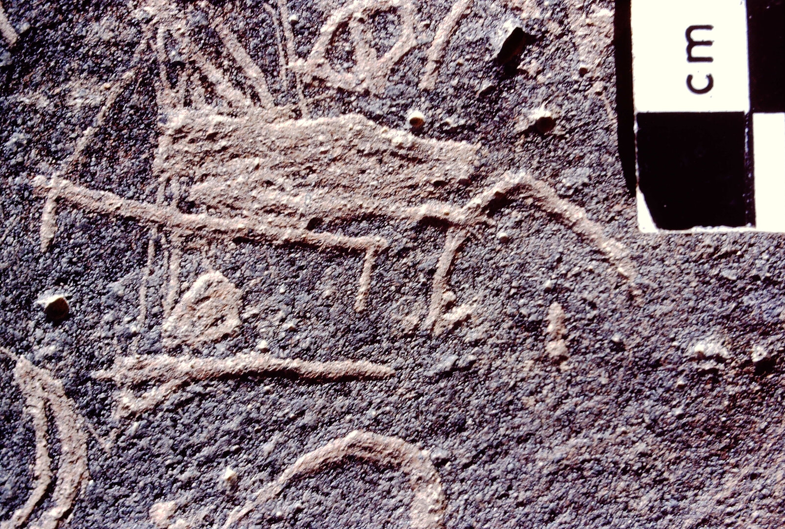 inscription of siglum CSA 2.2