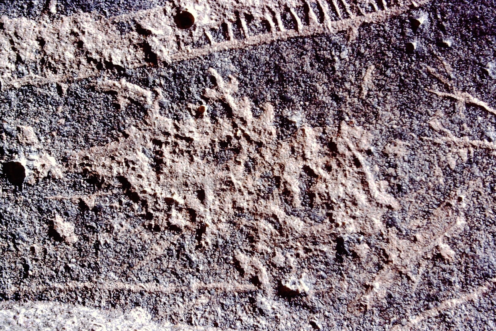 inscription of siglum CSA 2.2