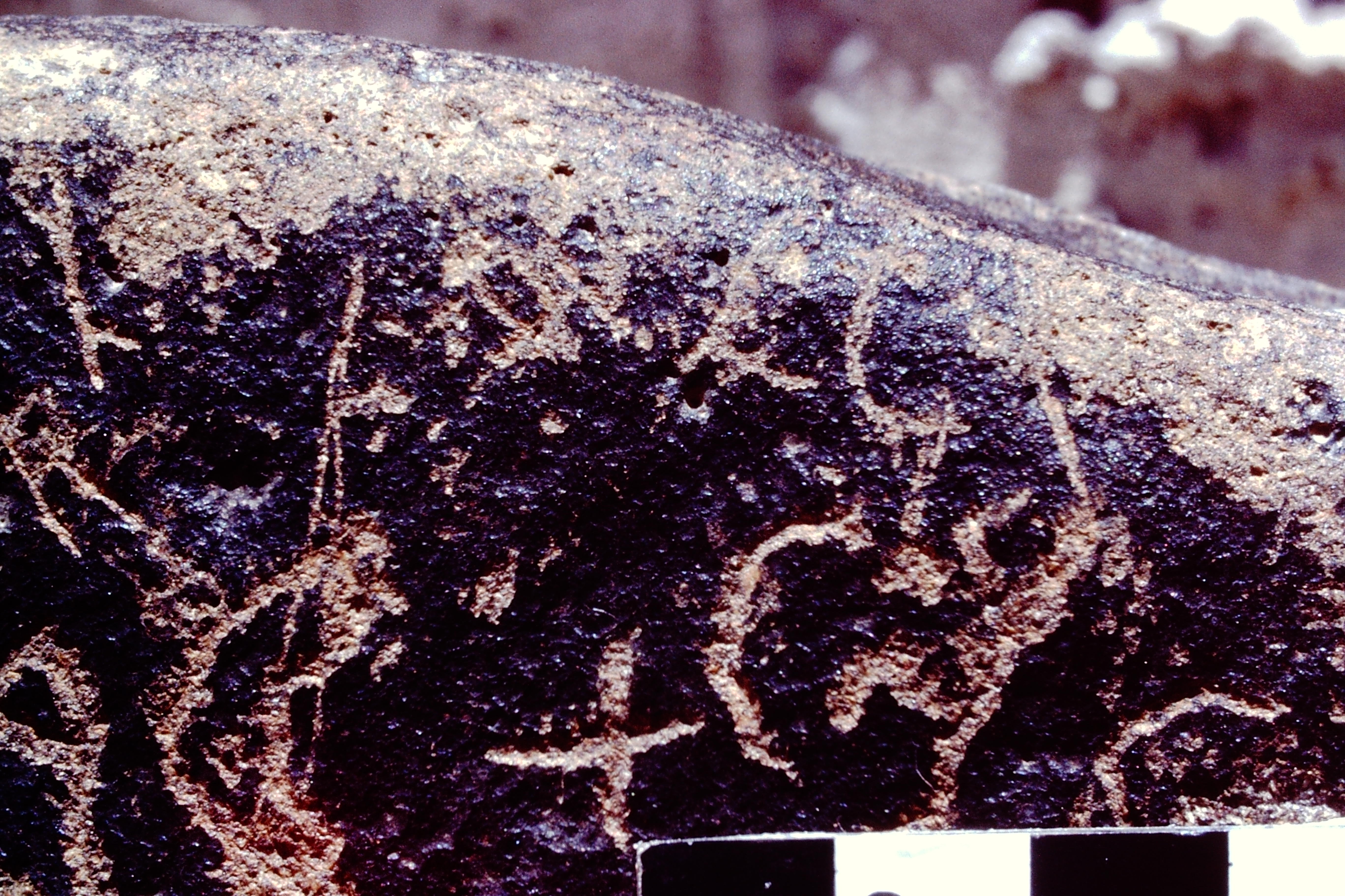 inscription of siglum CSA 3.1