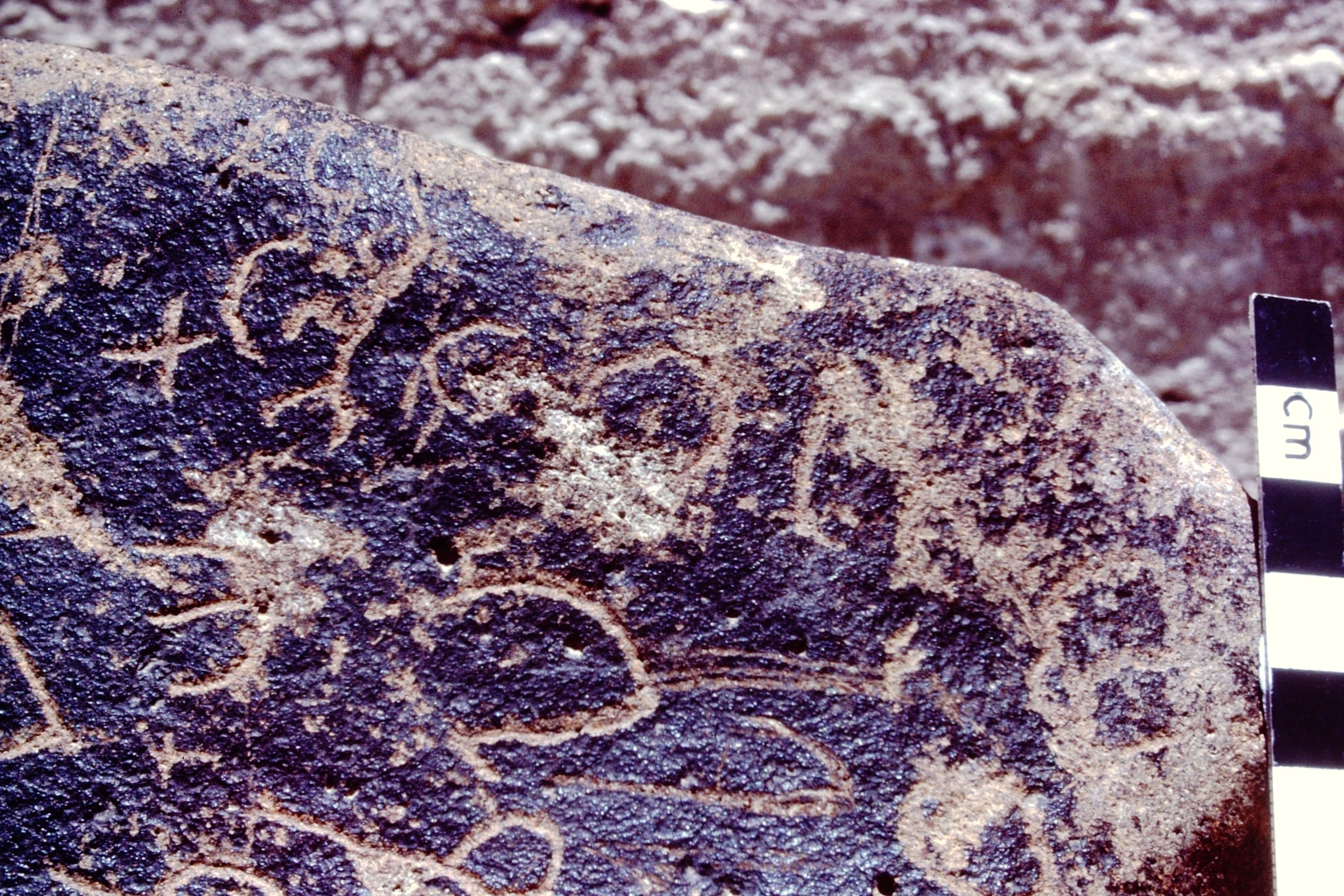 inscription of siglum CSA 3.1